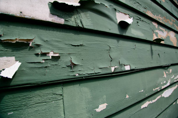 Affordable siding repair and maintenance services in Mount Healthy Heights, OH